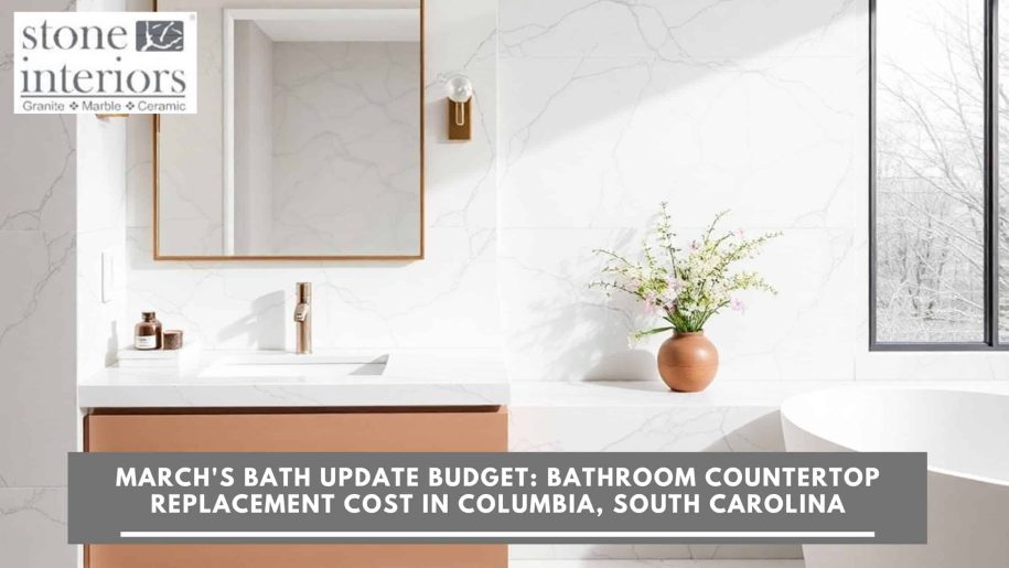 March’s Bath Update Budget_ Bathroom Countertop Replacement Cost in Columbia, South Carolina Bathroom countertop replacement cost in Columbia